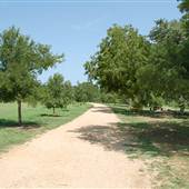 Pease District Park