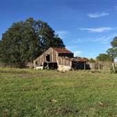 Old Ponderosa Ranch