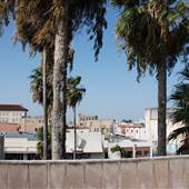 City Plaza - Rooftop Views