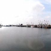 Port of Brownsville - Shrimping Boats