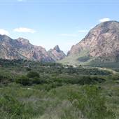 Big Bend National Park - Chisos Mountain Basin