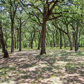 Doug Russell Park