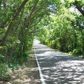 Gloria Road