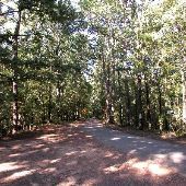Caddo Lake State Park - Roads