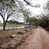 Lindeman Road along Blanco River