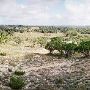 Storm Ranch