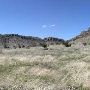 Kokernot o6 Ranch