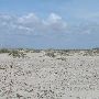 Boca Chica Beach & Dunes