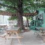 Ski Shores Cafe