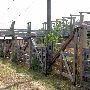 Stockyards Station - Cowtown Cattlepen Maze