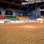 Stockyards Station - Cowtown Colliseum