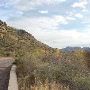 Hwy 118 South of Fort Davis