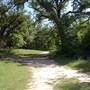 Dinosaur Valley State Park