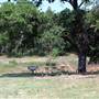 Turkey Bend Recreation Area