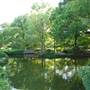 Fort Worth Botanic Garden - Japanese Garden