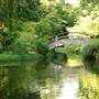 Fort Worth Botanic Garden - Japanese Garden