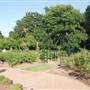 Fort Worth Botanic Garden - Rose Garden