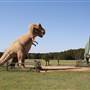Dinosaur Valley State Park