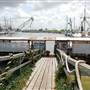 Port of Palacios