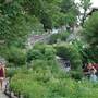 Japanese Tea Garden at Brackenridge Park