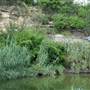 Japanese Tea Garden at Brackenridge Park