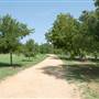 Pease District Park