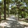 Pease District Park