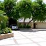 Calle Jacaranda Neighborhood