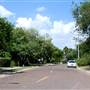 Palm Boulevard Neighborhood