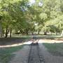 Trinity Park