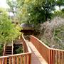 Blue Heron Bed and Breakfast