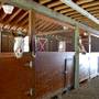 JR Stables