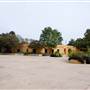 Fiesta Gardens