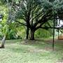 Fiesta Gardens