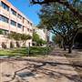 Texas A&M University