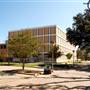 Texas A&M University