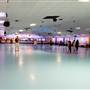 Skate Land West