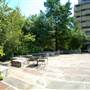 Main Plaza