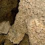 Cascade Caverns