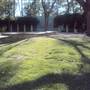 Hermann Park