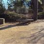 Japanese Garden in Hermann Park