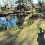 Japanese Garden in Hermann Park