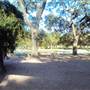 Japanese Garden in Hermann Park