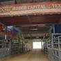 Mesquite Pro Rodeo