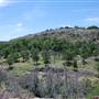 The Sandy Ranch