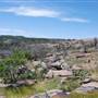 The Sandy Ranch
