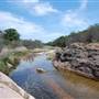 The Sandy Ranch