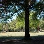 Jester Park
