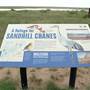Muleshoe National Wildlife Refuge