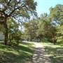 Big Stacy Park